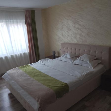 Vila Davison Târgu Jiu Dış mekan fotoğraf
