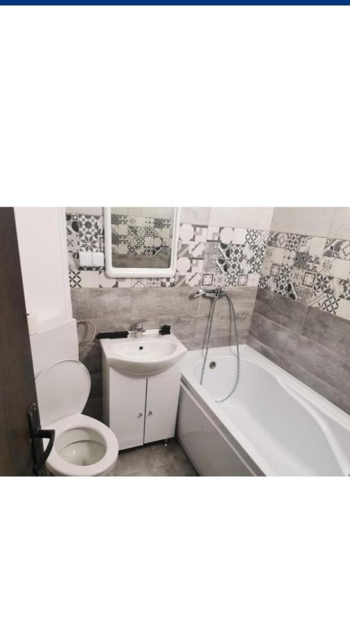 Vila Davison Târgu Jiu Dış mekan fotoğraf