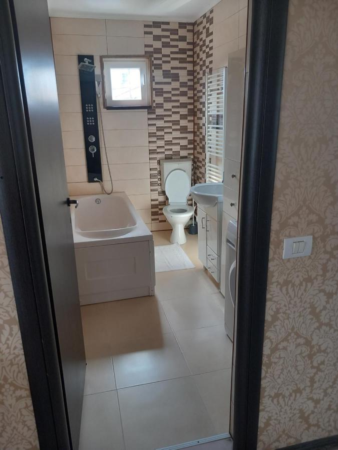 Vila Davison Târgu Jiu Dış mekan fotoğraf
