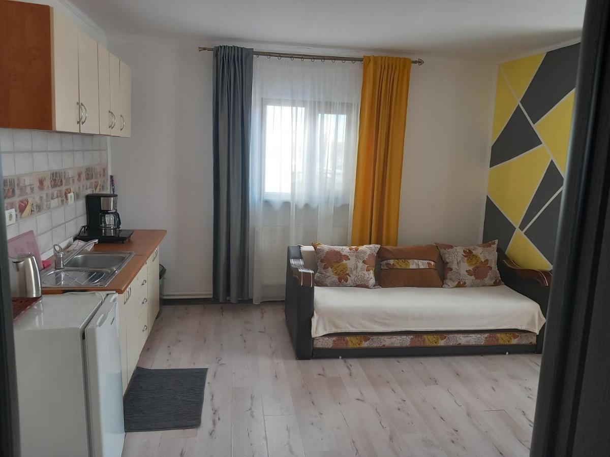 Vila Davison Târgu Jiu Dış mekan fotoğraf