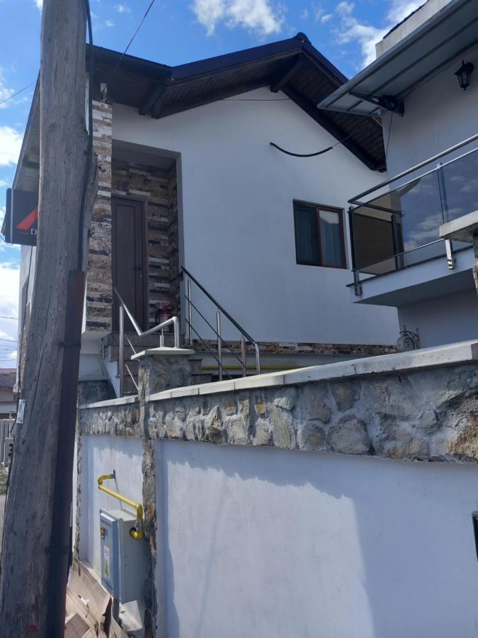 Vila Davison Târgu Jiu Dış mekan fotoğraf