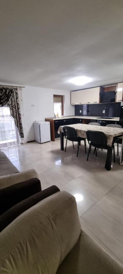 Vila Davison Târgu Jiu Dış mekan fotoğraf