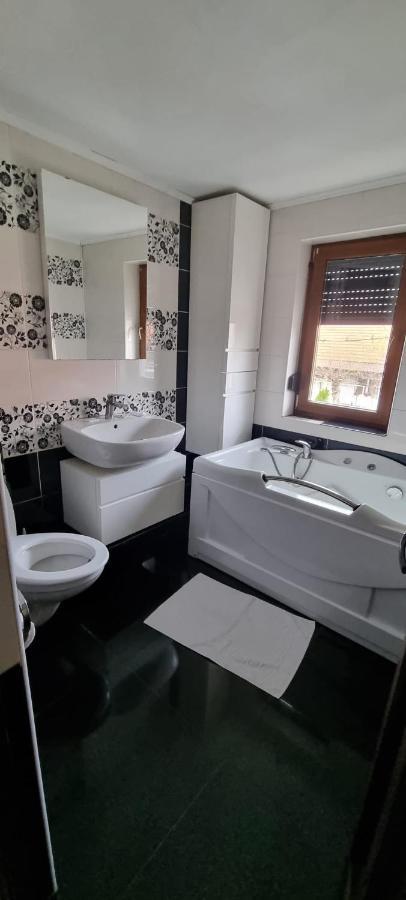Vila Davison Târgu Jiu Dış mekan fotoğraf