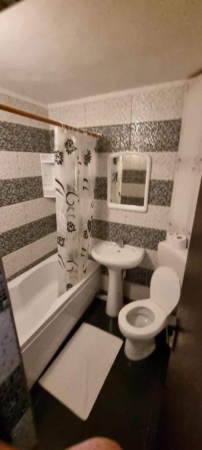 Vila Davison Târgu Jiu Dış mekan fotoğraf