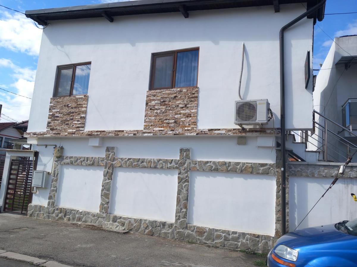 Vila Davison Târgu Jiu Dış mekan fotoğraf