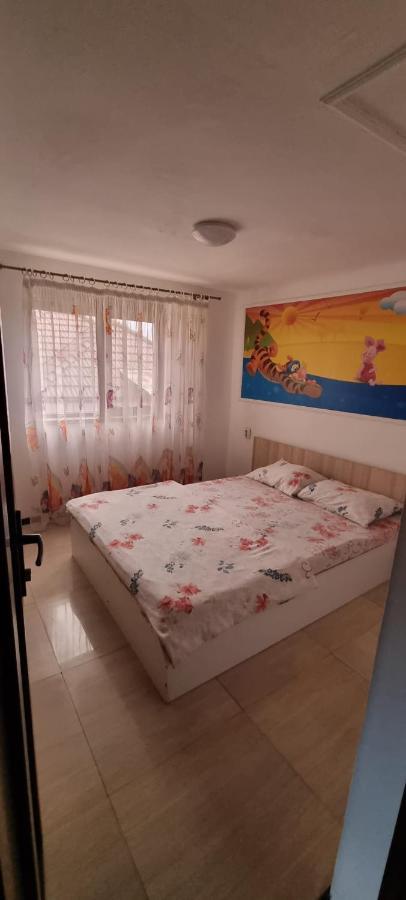 Vila Davison Târgu Jiu Dış mekan fotoğraf