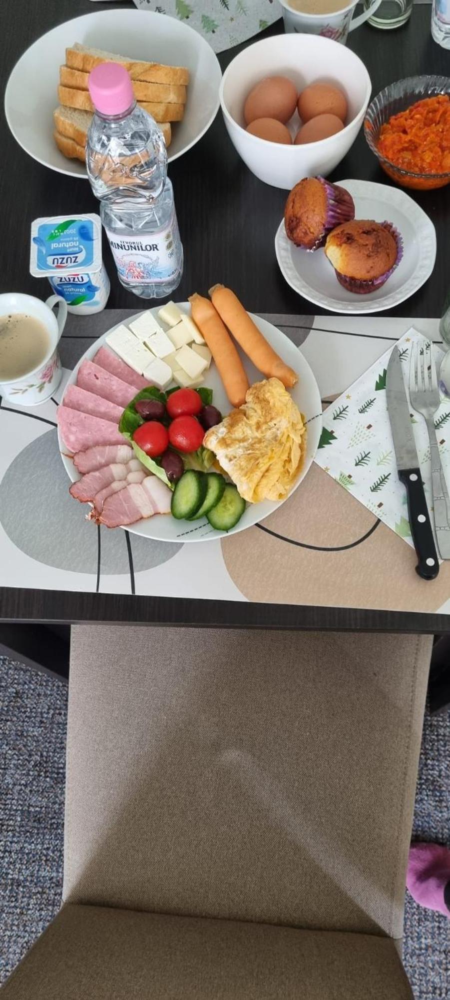 Vila Davison Târgu Jiu Dış mekan fotoğraf